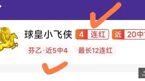 活塞队夏季表现一览：调整策略大